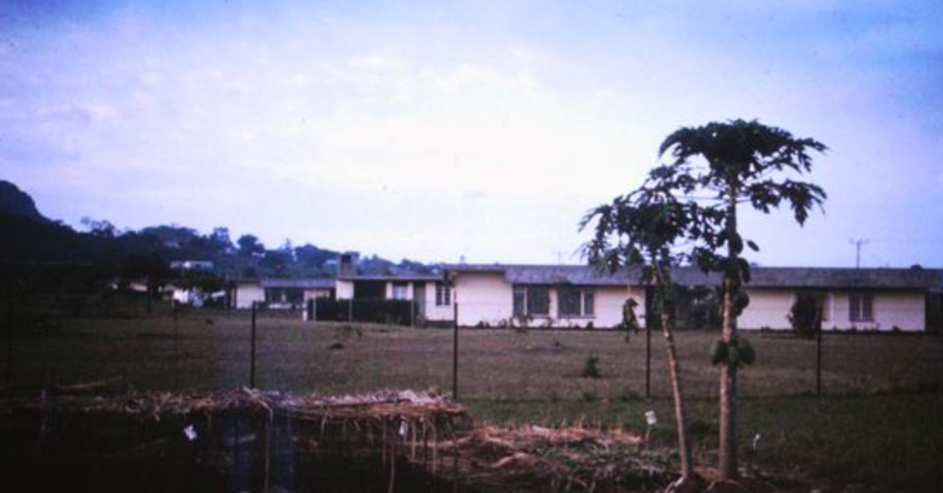 Tororo Girls School