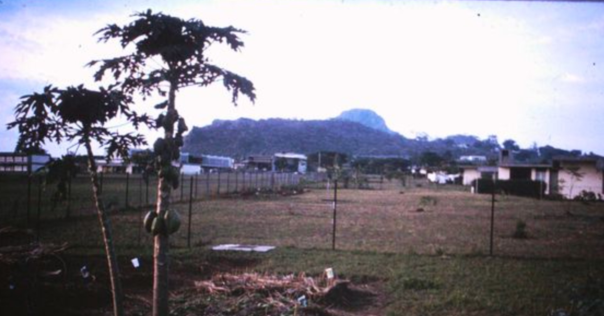 Tororo Girls School